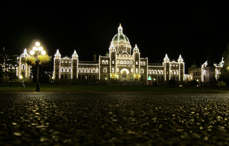 Field work during early career