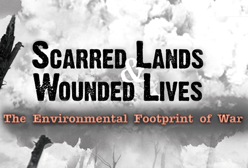 Scarred Lands and Wounded Lives film poster